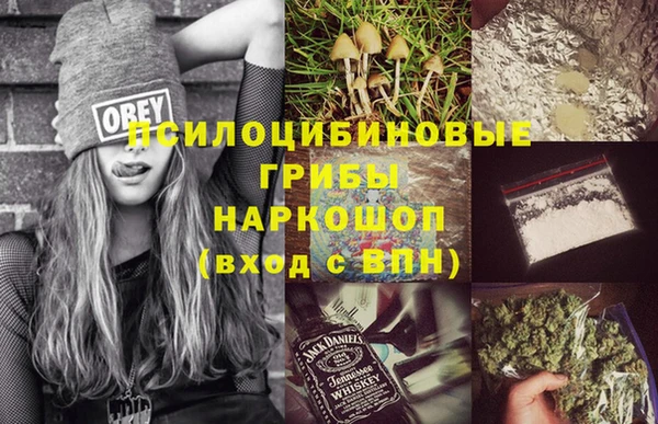 ПСИЛОЦИБИНОВЫЕ ГРИБЫ Горнозаводск