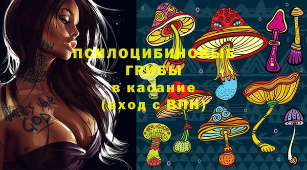 трава Вязники